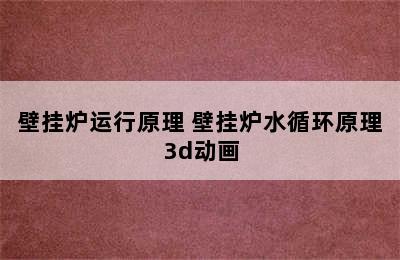 壁挂炉运行原理 壁挂炉水循环原理3d动画